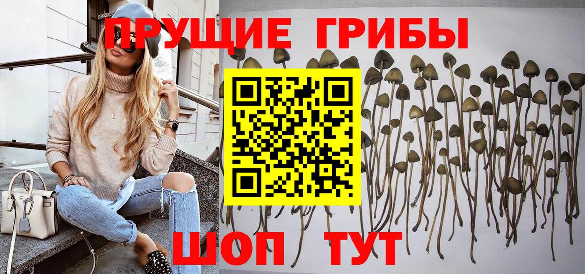 Галлюциногенные грибы мицелий  Галлюциногенные грибы GOLDEN TEACHER  Вход с VPN  Ковров 